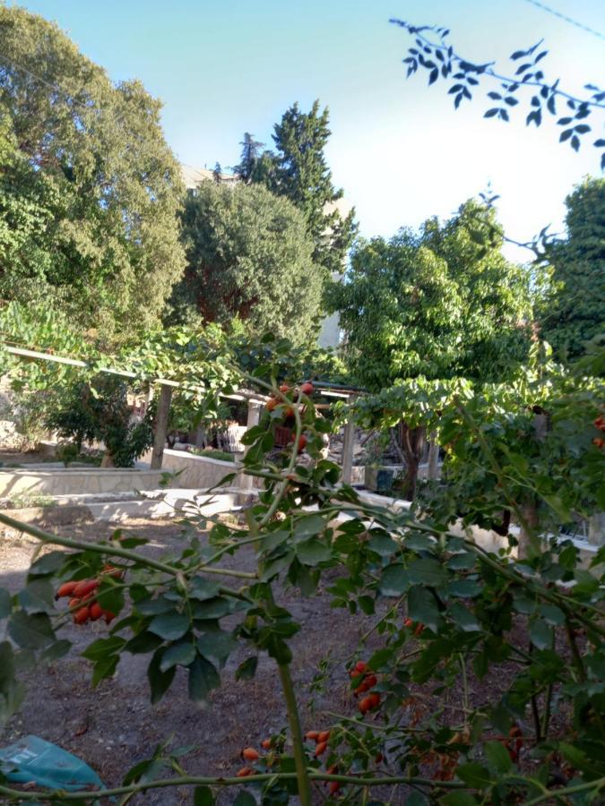 杜布罗夫尼克Stone Oasis Vito公寓 外观 照片